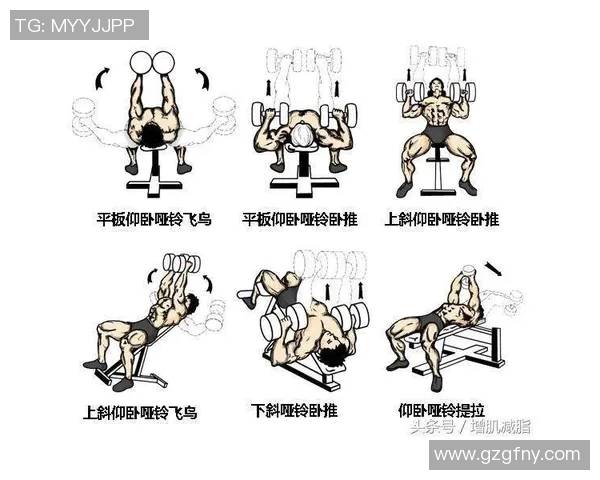哑铃锻炼胸肌的有效动作推荐与技巧分享